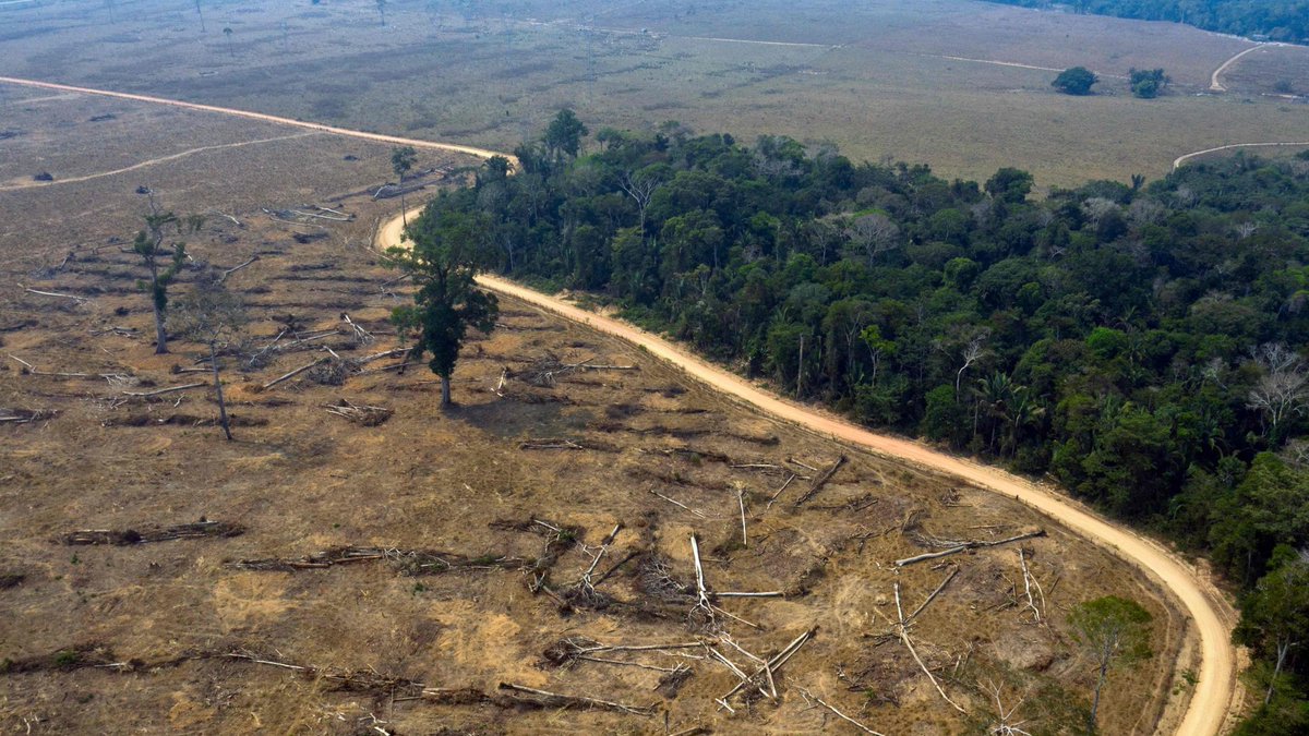 CEOofShaula's tweet photo. #SaveAmazonas
The deforestation of the Amazonas rainforest is going over a decade.
The Brazilian government, allowed farmers to illegally burn hectares of rainforest.
Consequently, many tribes are in danger of their existence.
These folk fought for many years for their existence. https://t.co/lwj1QLinOk