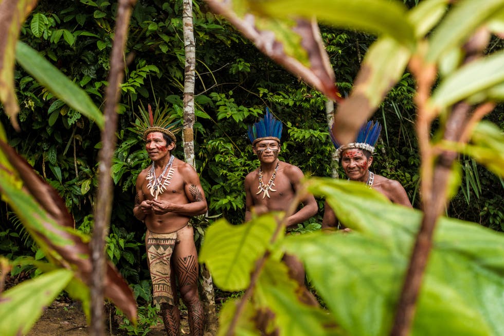 CEOofShaula's tweet photo. #SaveAmazonas
The deforestation of the Amazonas rainforest is going over a decade.
The Brazilian government, allowed farmers to illegally burn hectares of rainforest.
Consequently, many tribes are in danger of their existence.
These folk fought for many years for their existence. https://t.co/lwj1QLinOk