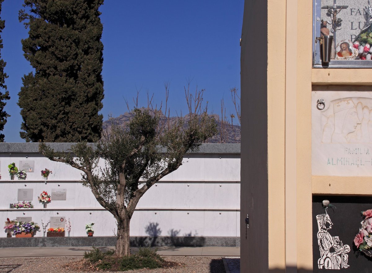 🎻TOTS SANTS MÚSICA PER AL RECORD
En memòria a tots els éssers estimats que ens han 
deixat.

Informa-te'n al web exfun.es