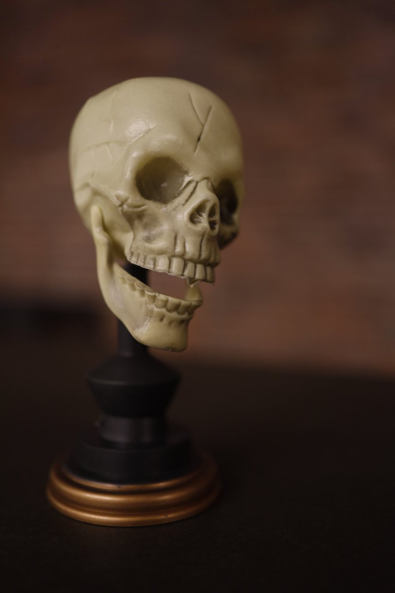 Nate Ebel tweet media