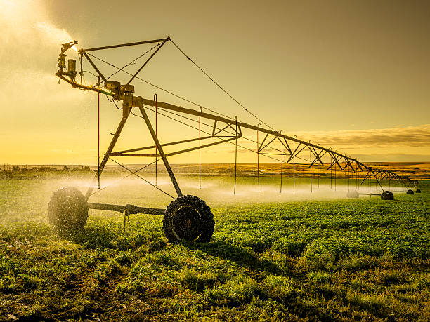 MugishaElie_'s tweet image. Dear #africanfarmers, we need to stop #irrigating #manually adopt modern irrigation systems such as #centerpivot irrigation, #dripline irrigation. This will improve our economy as well as saving the time.

#Irrigationsystems
#modernfarming