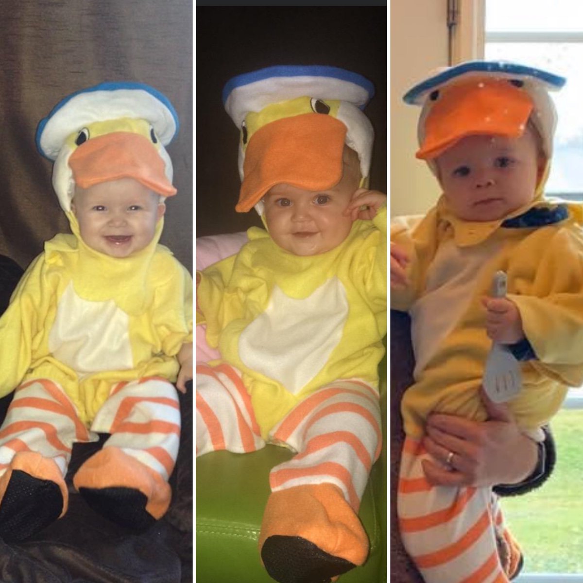 Great day for a duck, or 3! Happy Halloween!! 🧡🎃👻 #halloweenmemories #quack