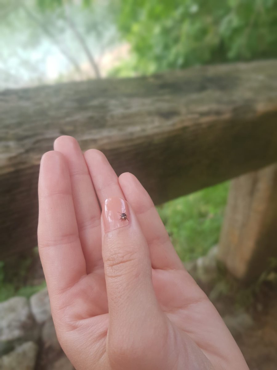CicekFatime's tweet photo. 🐞🌍 https://t.co/Q0d4hrBO7m