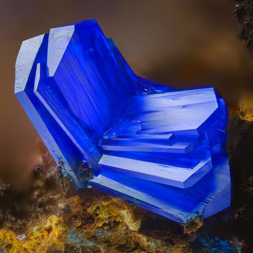StockShaman's tweet photo. Linarite #crystals #minerals #gems #Linarite  is Probably the most Intensive blue Mineral of All. This Fantastic fan of linarite is less than 2mm! From Dolea, Brusturi, Bihor, Romania. 
Photo Copyright ©️ Fine mineral photography https://t.co/HB8IQ8gSuE
