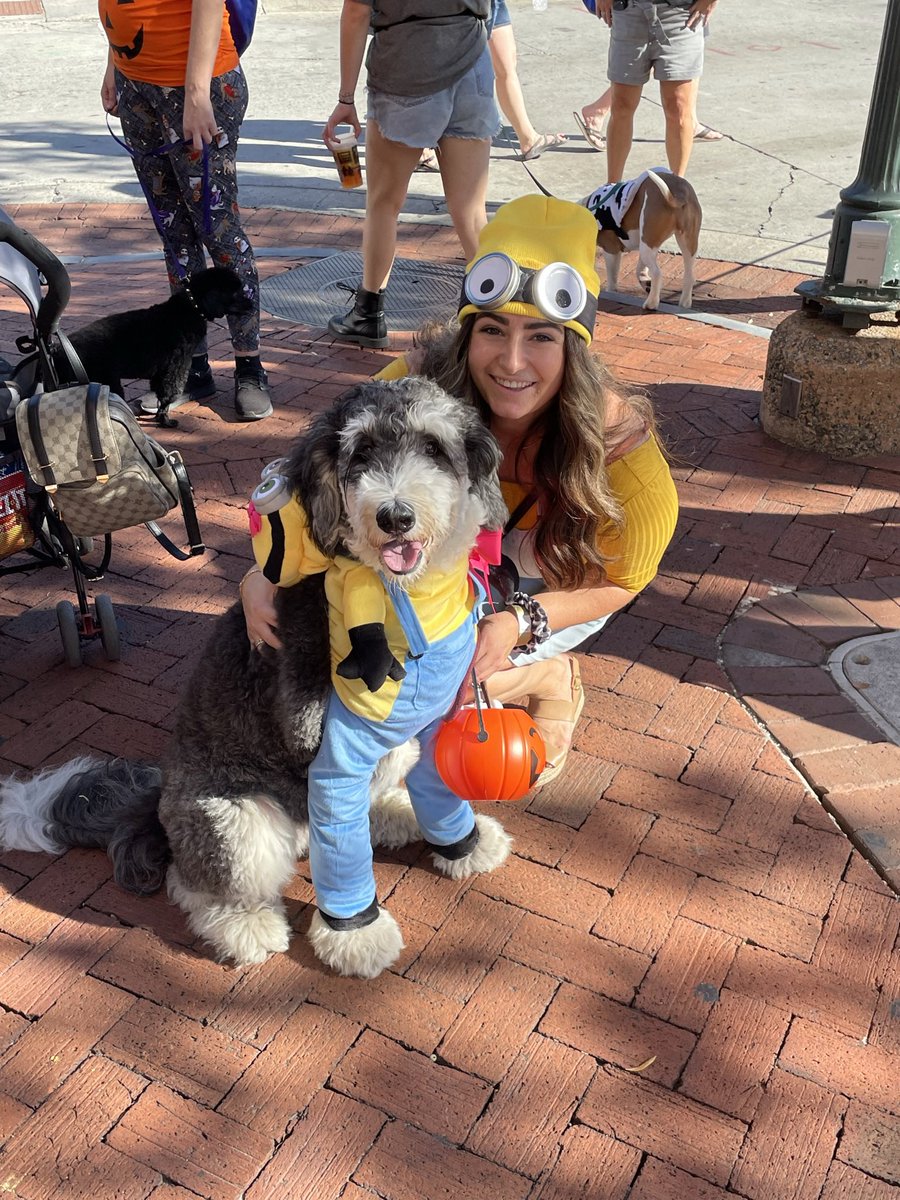 Happy Halloween! 🐾👻🎃🕸🥰