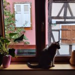 Photo by Mariya Parodi (@MariyaParodi)