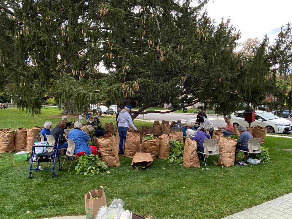ArlingtonFOUA's tweet photo. Help Needed! Gleaning green beans on Monday, Nov. 1 🌱 - https://t.co/2kp1NmMA0P Gleaning winter squash Nov, 5, Nov 9, Nov 16. #Volunteer #PlotAgainstHunger #arlingtonurbanag https://t.co/9oLlKiFuIE