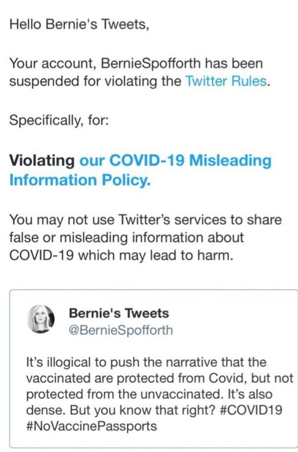 danastingregory's tweet photo. Whatever your views are we need to be able to have Open Debate, this is a foundation of a democratic society. 

Let’s make our voices heard loud &amp; clear #together to protect #freespeech 

@Twitter @TwitterSupport #reinstatebernie https://t.co/cglUPaleMR