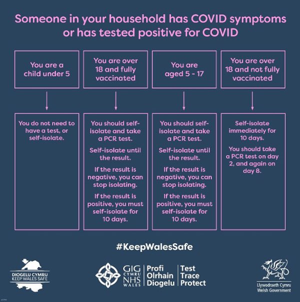 Rhiw Syr Dafydd tweet media