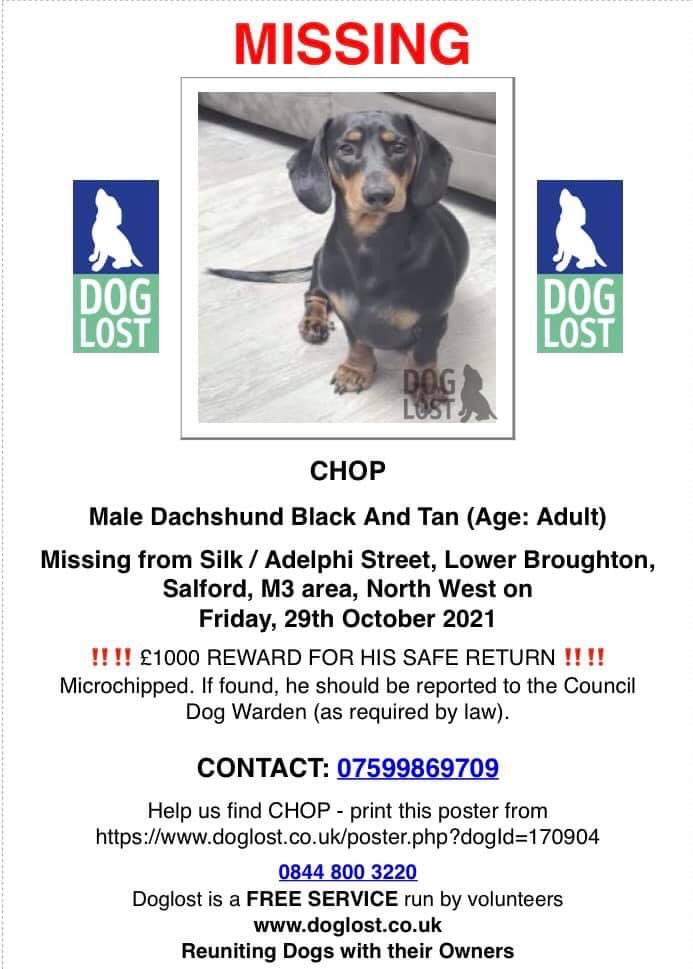 ‼️ £1000 REWARD FOR INFORMATION LEADING TO CHOP’S RETURN ‼️ Missing from Silk / Adelphi Street, Lower Broughton, Salford since Friday 29th October. If you have any information to his whereabouts, or you have taken him in to keep him safe, please make contact with Alexandra Koche