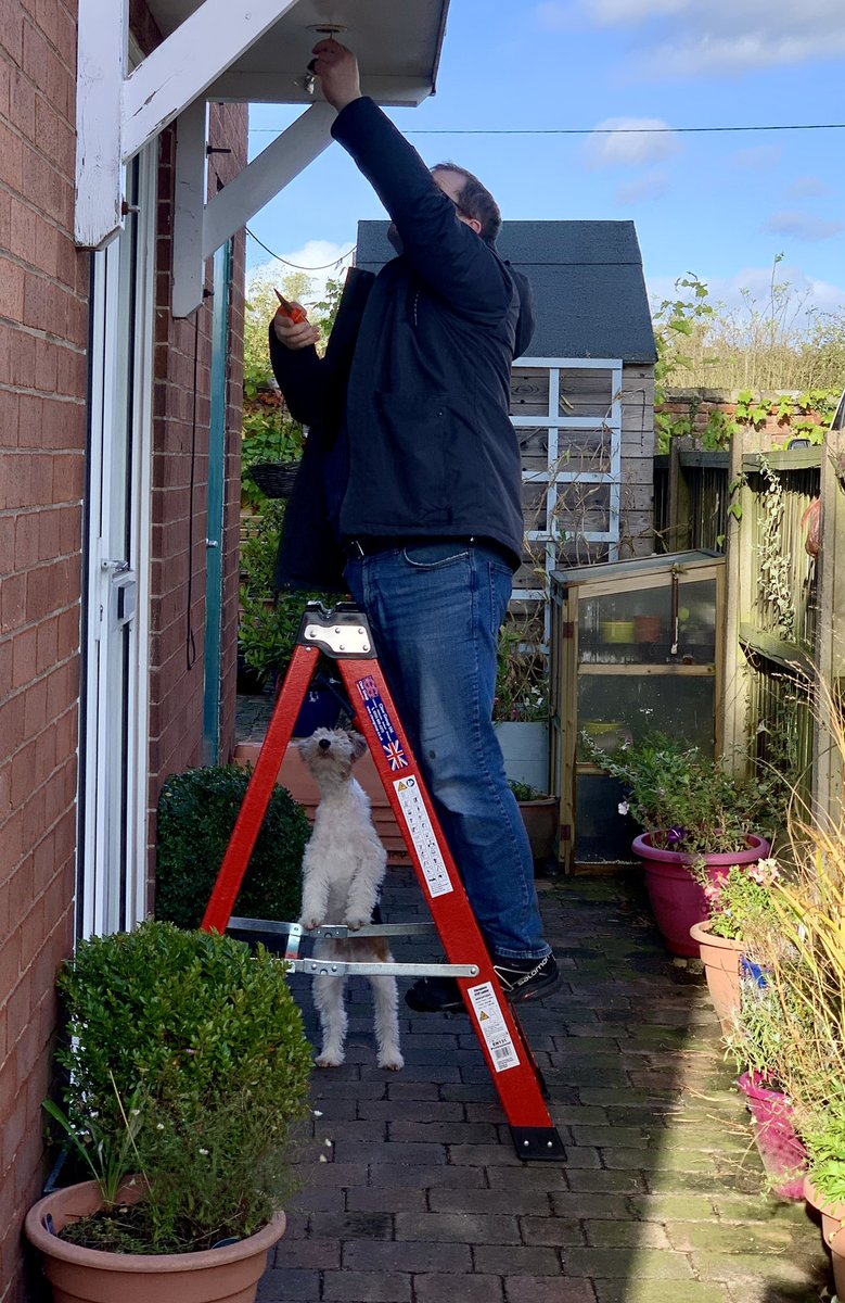 GeorgeFoxKBE's tweet photo. Health and Safety inspector 👀 keeping an eye on proceedings #diydog 🦊 https://t.co/onc1l5fKO3