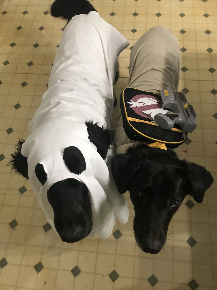 kevin_buchner's tweet photo. Well you could say everyones costume was last minute this year. #yellowstone #ghostbuster #greaselighting https://t.co/0mILOU6aPJ