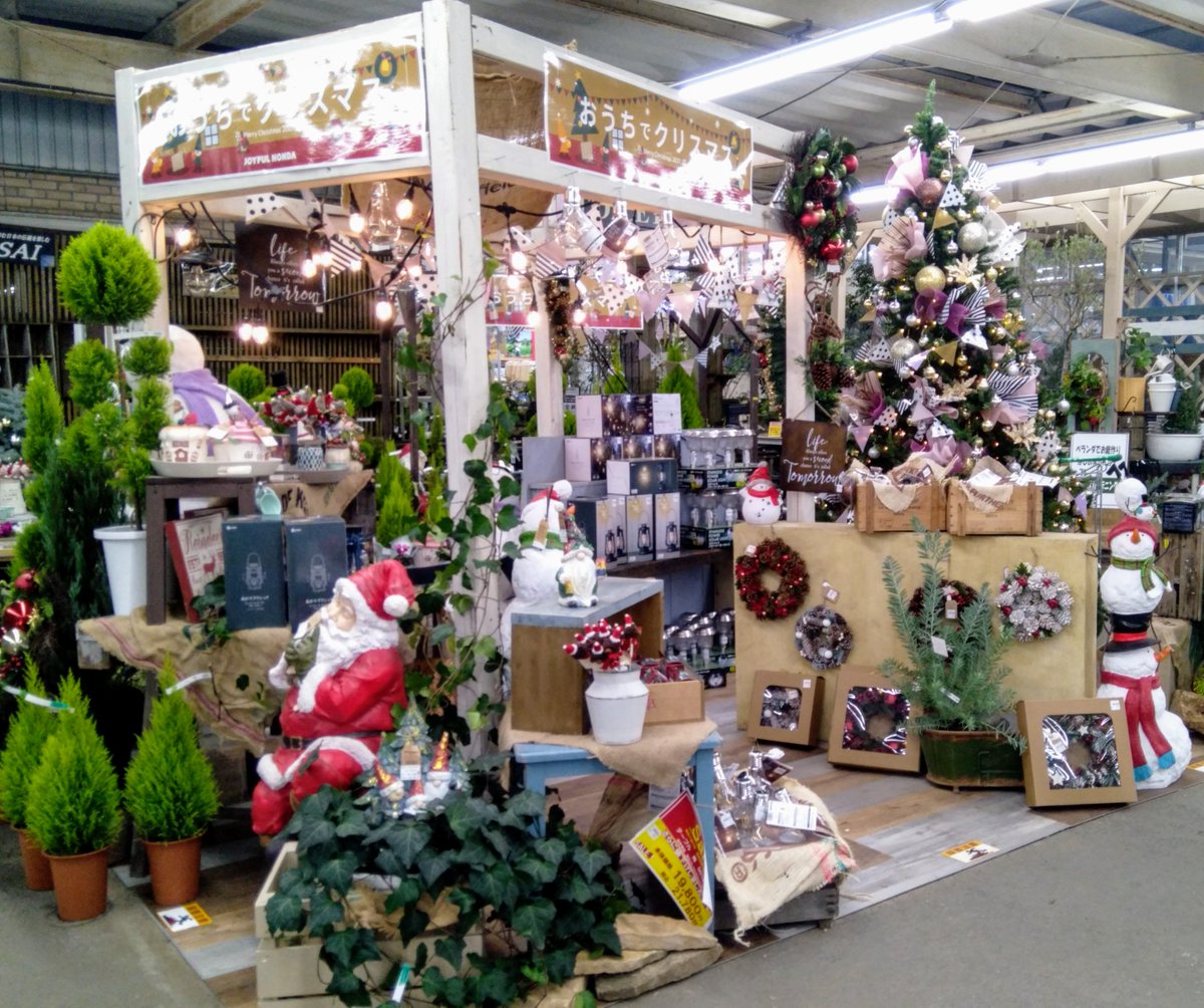 ガーデンセンター瑞穂店】 この冬は【お家でクリスマス】がオススメ