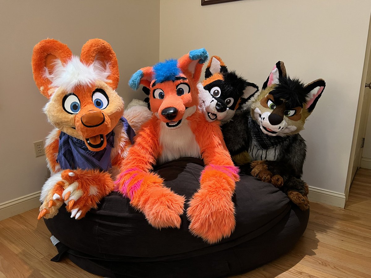 AviFox's tweet photo. 🎃👻🎃👻🎃👻
Wishing Everyone a Happy Halloween!!! 
🍭🍫🍬🍭🍫🍬

(From @rondofoxcoon 🦝 @ryotjackal 🐺 @Spikeo_O 🐶 &amp; @AviFox 🦊) https://t.co/2lT4FTm8Le