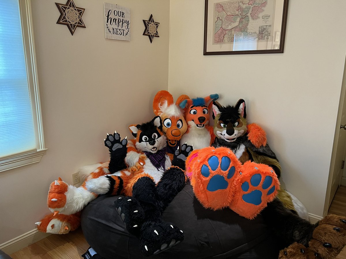 AviFox's tweet photo. 🎃👻🎃👻🎃👻
Wishing Everyone a Happy Halloween!!! 
🍭🍫🍬🍭🍫🍬

(From @rondofoxcoon 🦝 @ryotjackal 🐺 @Spikeo_O 🐶 &amp; @AviFox 🦊) https://t.co/2lT4FTm8Le