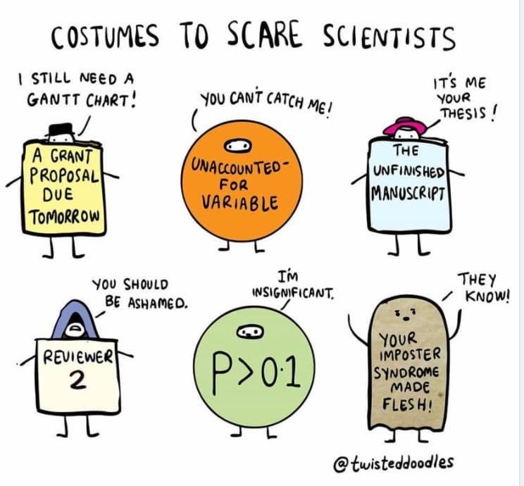 Steffanie Strathdee, PhD 🗡️ 🦠Superbug Slayer🗡️ tweet media