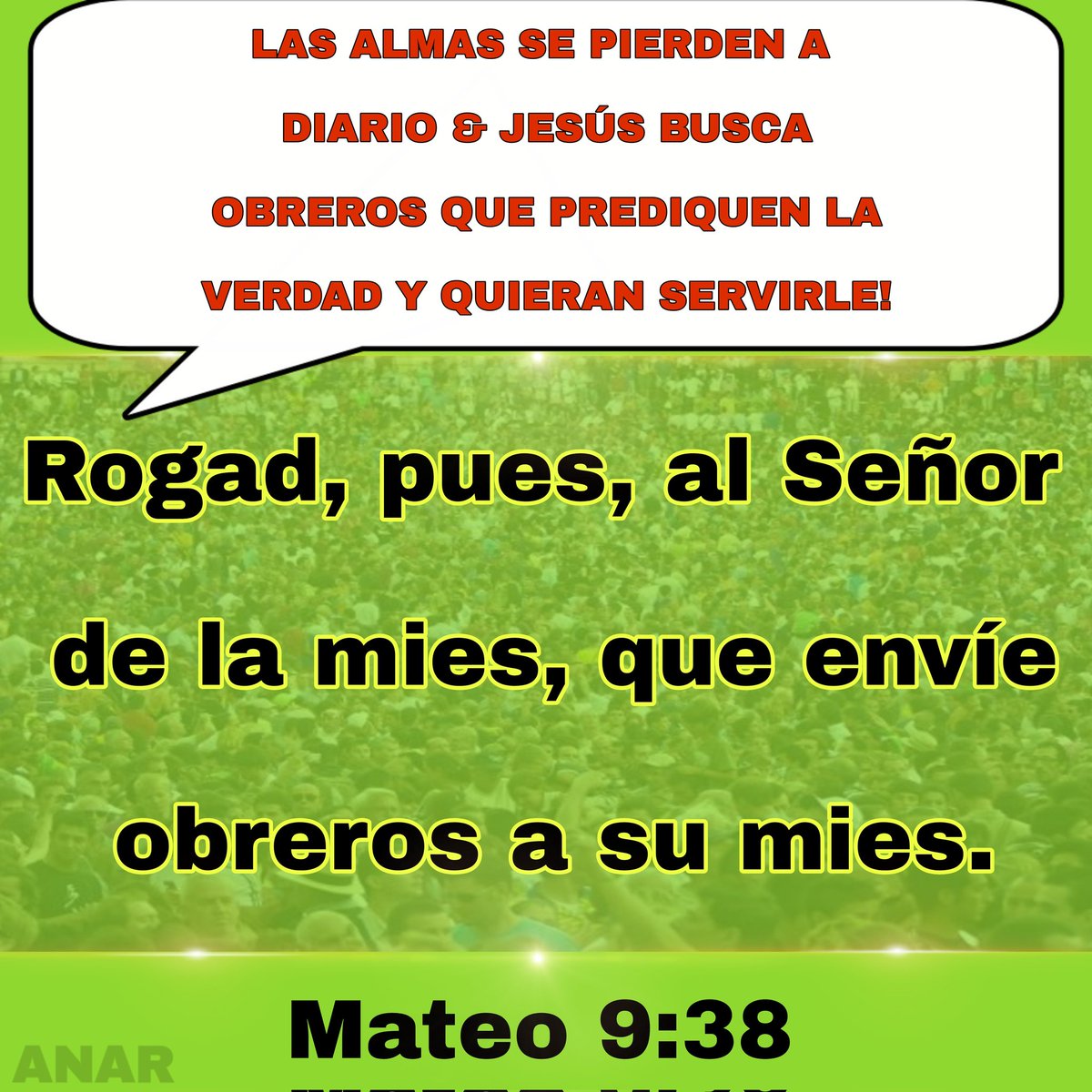 ApostolNatan's tweet photo. #Servir #Dios https://t.co/1iWgPC9bq0