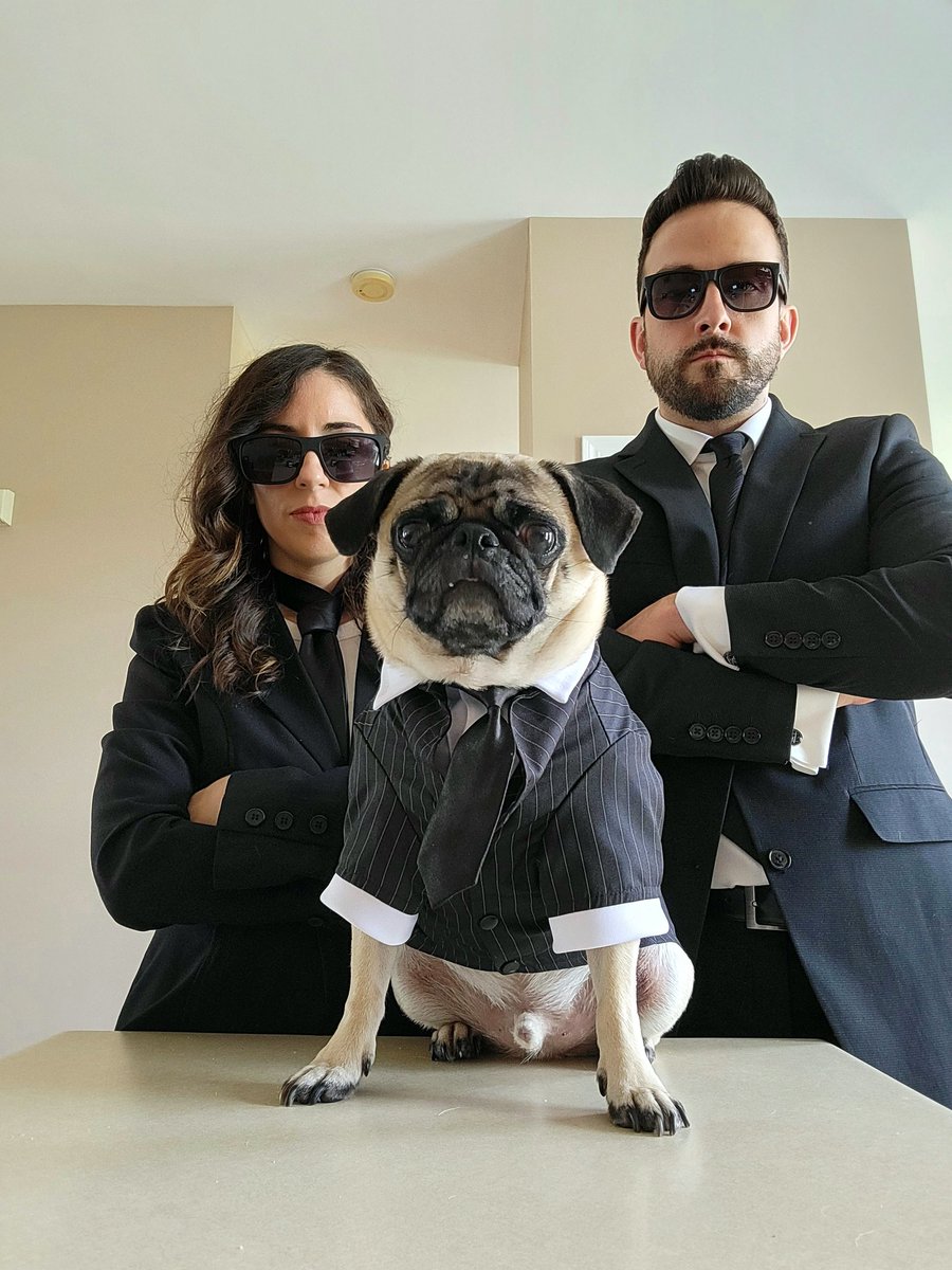 lazz0526's tweet photo. @itsdougthepug Frank from Men in Black https://t.co/onPSzQ8aak