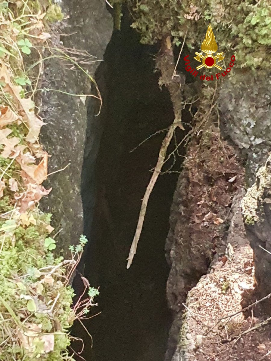 vvfveneto's tweet photo. #31ottobre #CortinadAmpezzo(BL), Mokka, un cane labrador, cade per circa 5 metri in una fenditura del terreno in località #Pocol a salvarlo ci pensano i #vigilidelfuoco che recuperano l’animale calandosi nella buca. Felice il padrone sollevato per lo scampato pericolo https://t.co/eQCwLSmJJ4
