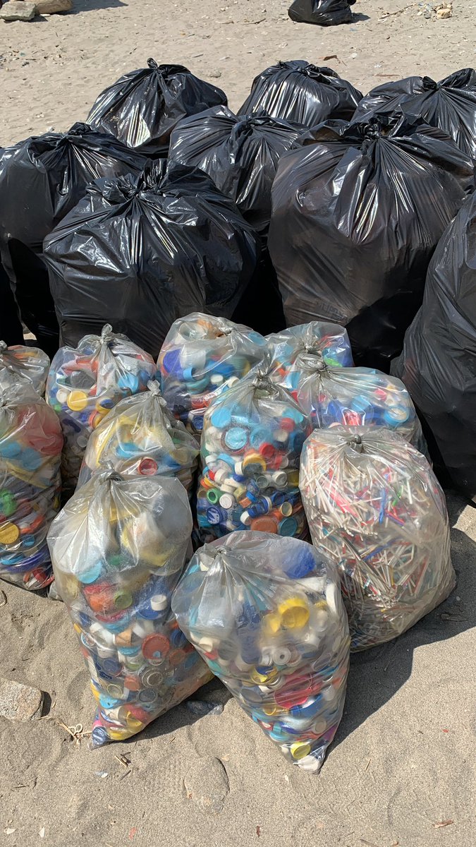 Detalle de basura hemos sacado  hoy de una playa de La Guaira. Señalar sobre todo los tapones y palitos de chupetas: miles de ellos. Tardan más de 500 años en degradarse y se convierten en micro-plásticos. Con esta acción de #EUBeachCleanup queremos despertar conciencia colectiva