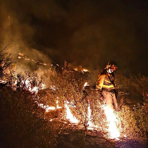 AT_Brif's tweet photo. 📃Campaña extinción Incendios forestales 2021
17/06-31/10 hoy finaliza:
👨🚒@briftabuyo #LeónESP
🔥19 Intervenciones en #IIFF entre los más destacados:
#IFSanFelicesDeLosGallegos
#IFToreno
#IFRibasDeSil
#IFCarracedoDeVidriales
#IFSobradelo
#IFNavalacruz
🚁🚁152h 59'⏱️horas vuelo https://t.co/gZcmuKSx6t
