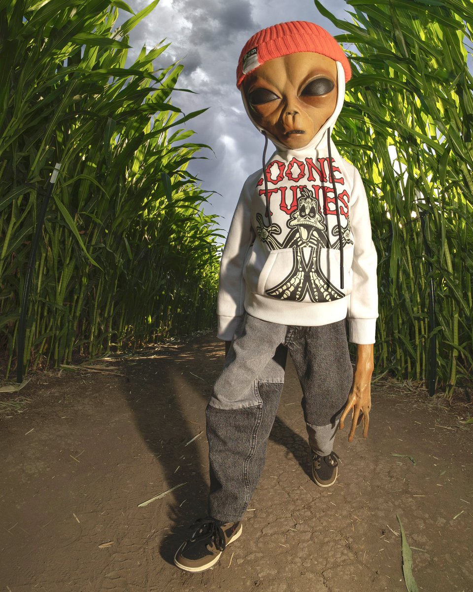 LILMAYO's tweet photo. cornfused https://t.co/RCFdRFlZd2