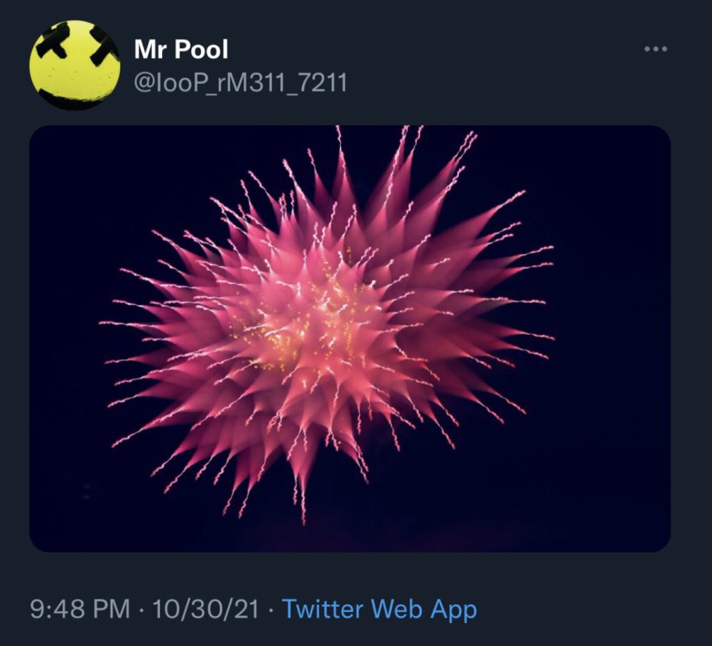 RedCollie1's tweet photo. Mr. Pool posts 40, 41
The use of Flare Networks will also explode like fireworks!
And that concludes our review of Mr. Pool's 41 Tweets yesterday. https://t.co/PEteMdGfcm