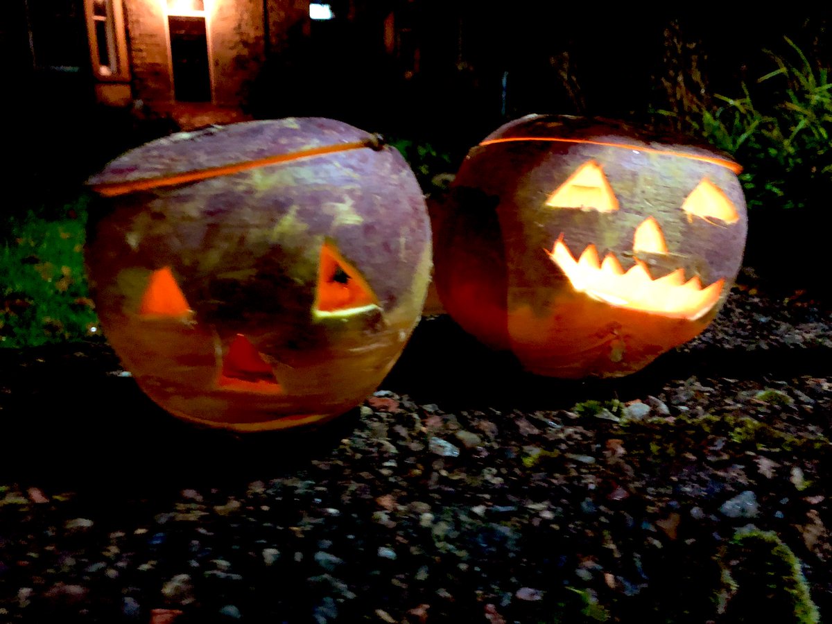 ClydesdAileen's tweet photo. Hope you had a ‘lovely jubbly’ Halloween! This pair did!! This time next year they’ll be millionaires after their guising antics this year🤣🤣 #DelandRodney #brothers #HappyHalloween2021 https://t.co/3GHFQ6wEgB