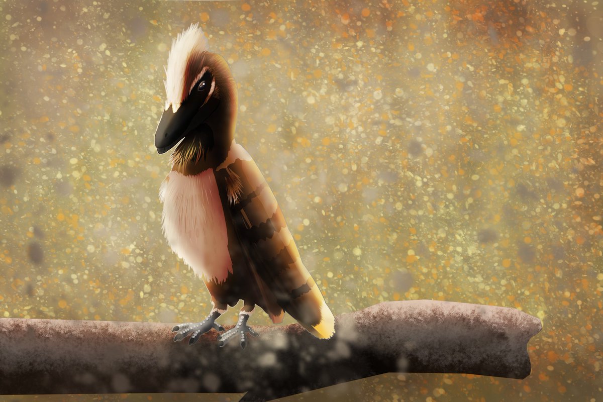 Alloverasaur's tweet photo. #Avisaurus sp. For my #paleoartAZ challenge
Two in one day. Probably only a couple years to go 😂
#paleoart #dinosaur #bird #enantiornithes #paleoartist
@skeletaldrawing https://t.co/i02qAacavs