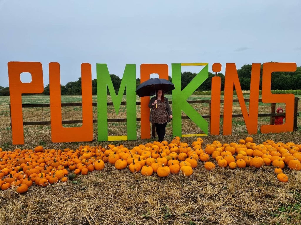 KeyneToExplore's tweet photo. Happy Halloween from me and my favourite pumpkin π
Can you spot Ivy? π
#mkbloggers #miltonkeynesmums #miltonkeyneskids #keynetoexplore #eatandexploremk #mkmums #lovemk #bucksmums #pumpkinpatch #pumpkinpicking https://t.co/8Md1Fd1Jmj https://t.co/k0TiR4xt4T