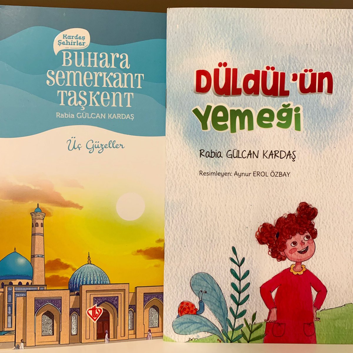 Biz Rabia ablamızın bu dünyada iyi bir Müslüman olarak yaşadığına şahitlik ettik. Allah rahmet eylesin, sevdikleriyle cennetinde kavuşmayı nasip etsin, başımız sağolsun… 

Yazılmakta olan, yazılacak olan nice çocuk hikayesi bugün öksüz kaldı…

#rabiagülcankardaş