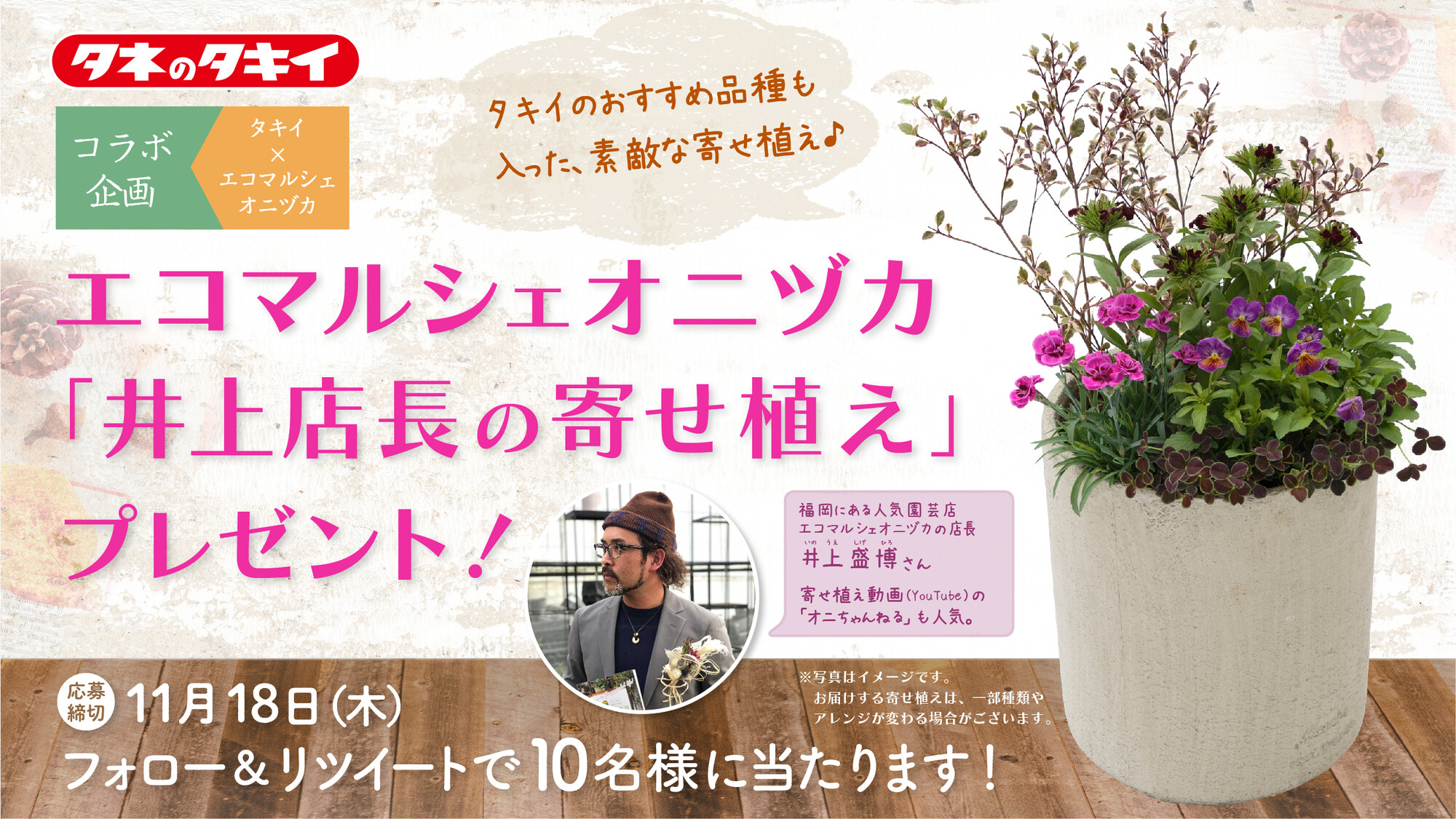 公式 タキイ種苗株式会社 タネのタキイ フォロー リツイート キャンペーン 人気の園芸店 エコマルシェオニヅカ 井上店長の寄せ植え を 抽選で10名様にプレゼント 応募条件 Takiiseed 15 をフォロー この投稿をリツイート 応募