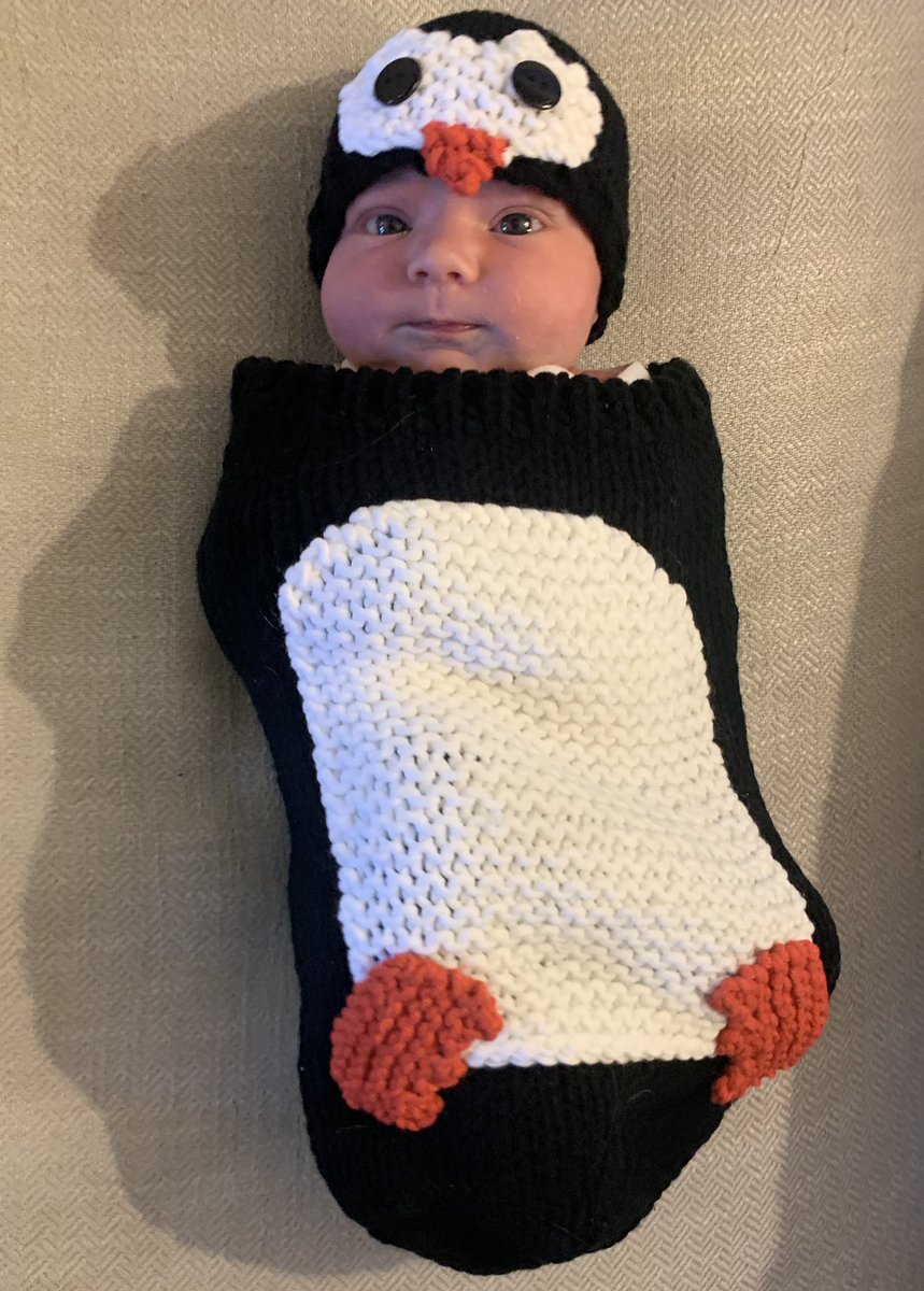 I *DARE* <a href="/Pudgy_Penguins/">The Huddle</a> to drop cuter Lil Pudgies than this one. Happy Halloween!