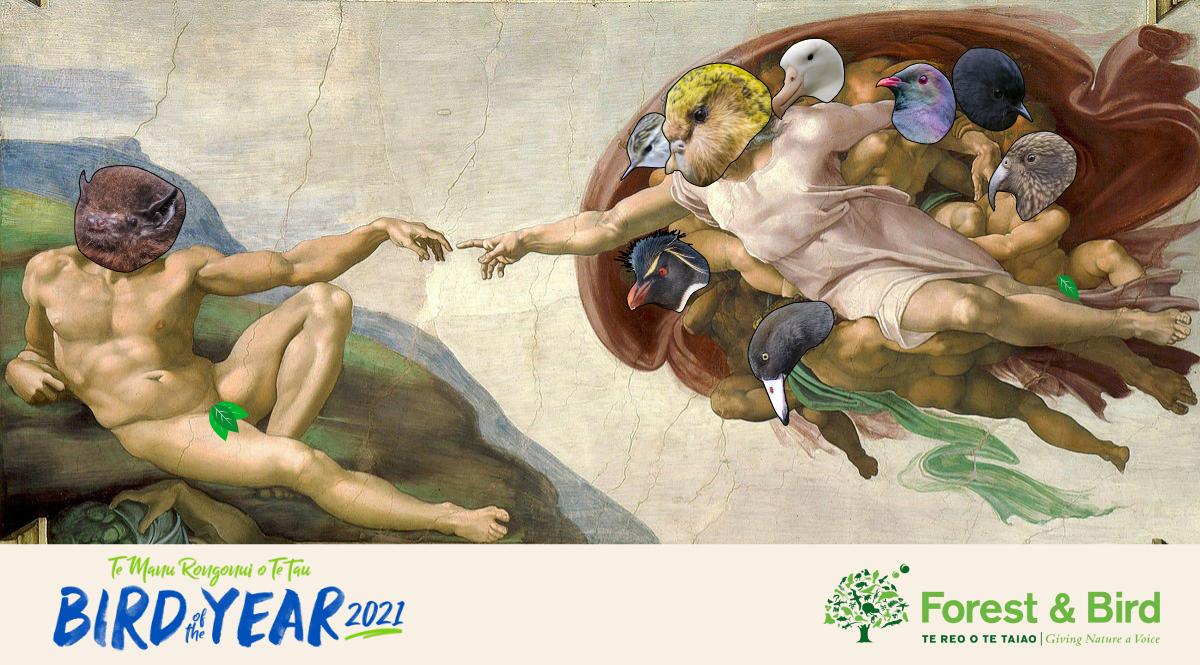 In light of our new found king, we thought it time to update our branding.

Congratulations again to the pekapeka long-tailed bat for winning #BirdoftheYear 2021!