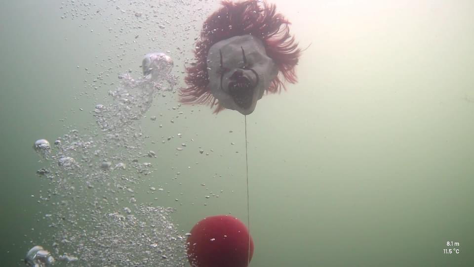 Nickynoo15's tweet photo. Underwater Spooks @PADI @padiaware @PADI_Travel #halloween2021 #diving #scuba #fiishfun 🐟🤿🐠🦈🌊 https://t.co/sDgFWkzISc