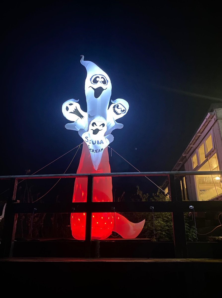 Nickynoo15's tweet photo. Underwater Spooks @PADI @padiaware @PADI_Travel #halloween2021 #diving #scuba #fiishfun 🐟🤿🐠🦈🌊 https://t.co/sDgFWkzISc