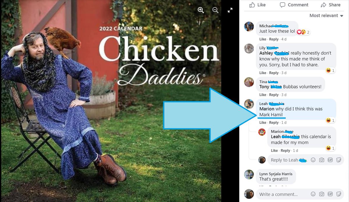 In another timeline, this COULD have been @HamillHimself (at least on Halloween)...

(No, I don't know why there is a Chicken Daddies calendar. Or why the daddies are in dresses.)