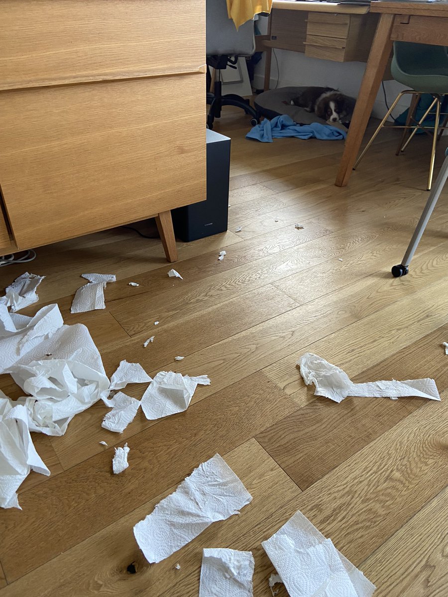 Cécile Bourbon ✨ tweet media