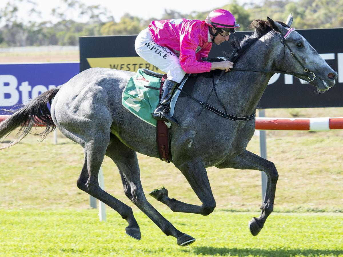 🗣️"He's come back in really good order he was quite wayward in his first campaign, took very good experience, has come back a much more level-headed animal"

<a href="/toddharvey7/">todd harvey</a> on the impressive return of NOWHITEFLAG.

#Bensley
<a href="/AndrewBensley/">Andrew Bensley</a>
📱SEN App
💬0499 736 736