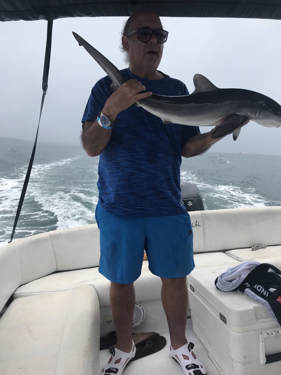 hani_skafi24 tweet media