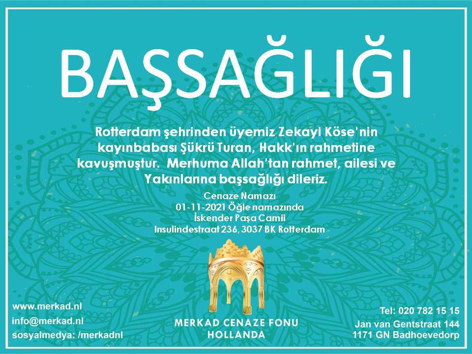 MerkadNL's tweet photo. https://t.co/nCDNOkxIKn
