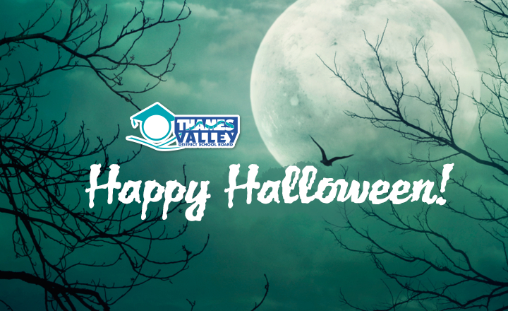 Happy Halloween! Have a safe, fun and spooky night everyone. 🎃 #TVDSB