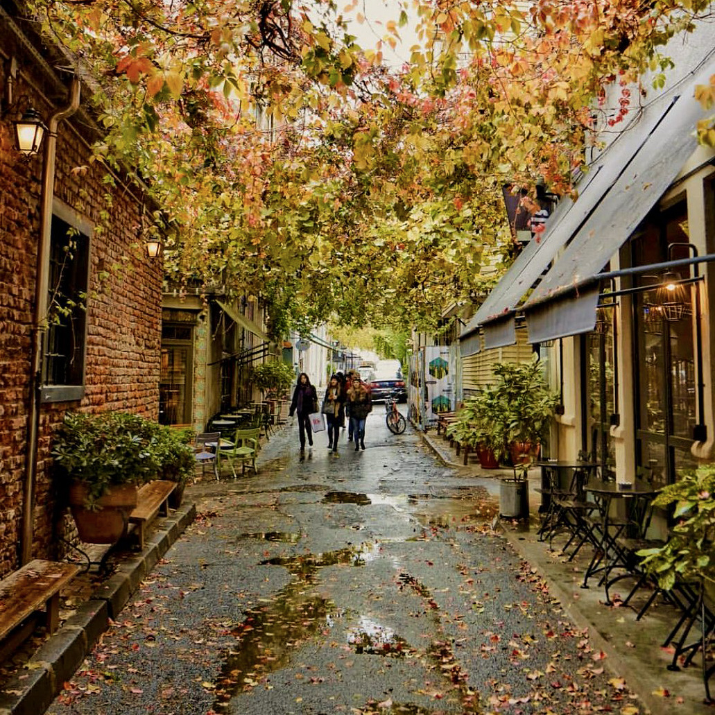 intraworld1980's tweet photo. #Fall is finally here in #Istanbul, and it is lovely as ever. It is time to wander in the streets covered in fallen leaves, stopping only occasionally to warm up with a cup of #tea. 

The poetic colors of the city are calling to us!

#autumnistanbul #fallinistanbul #autumnvibes https://t.co/Xmc7KKdbcH