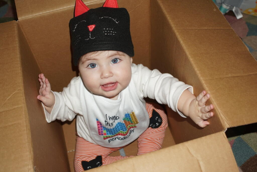 Danielle Danno tweet media