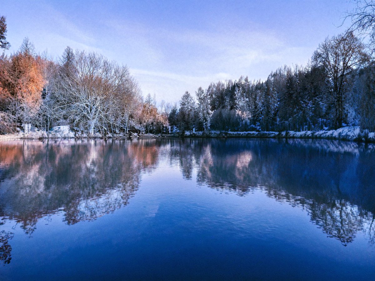 bahtiyarolmayan's tweet image. Gayet başarılı 
#adobe #Photoshop #neuralfilters #AtatürkArboretumu