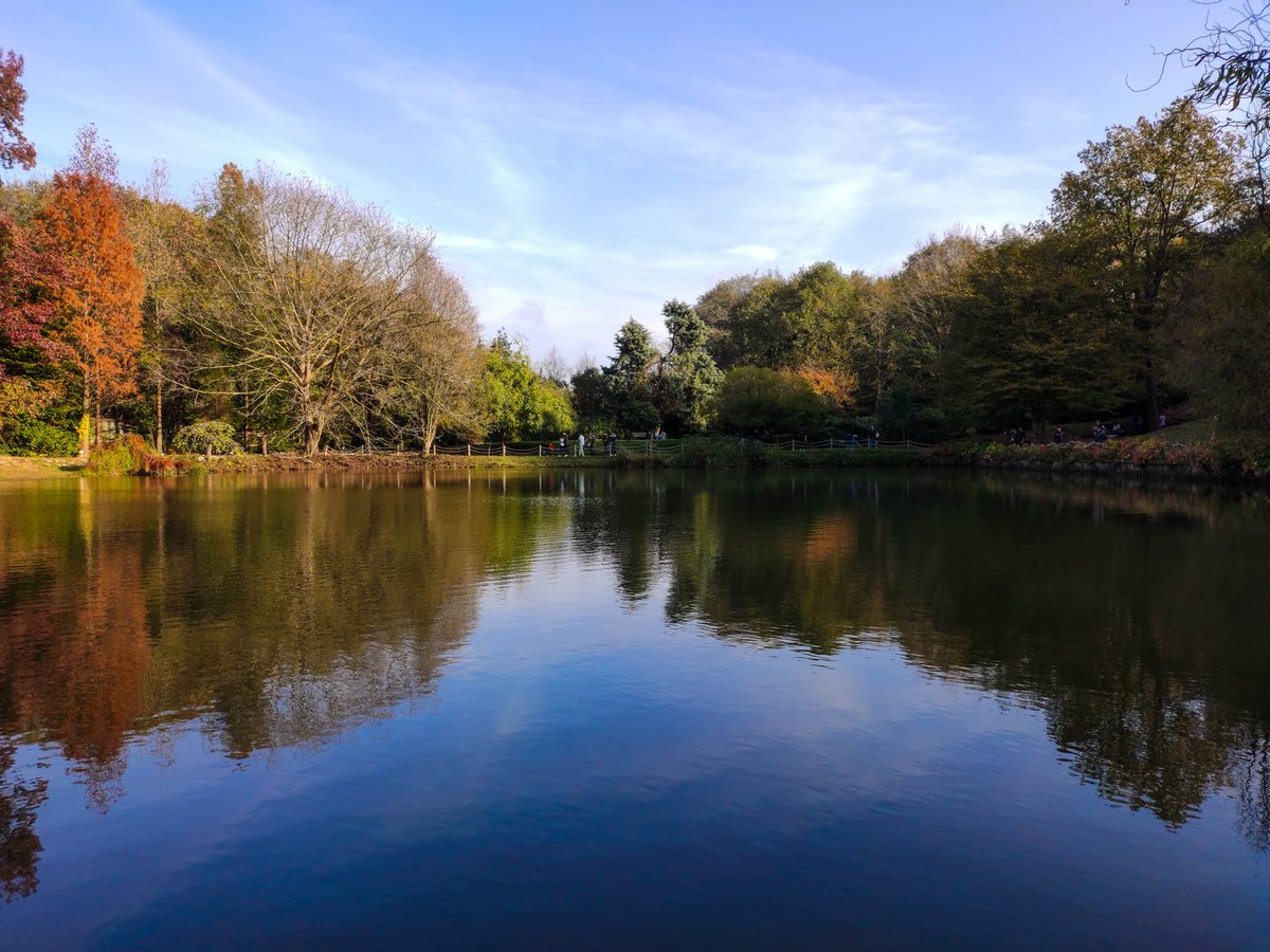 bahtiyarolmayan's tweet image. Gayet başarılı 
#adobe #Photoshop #neuralfilters #AtatürkArboretumu