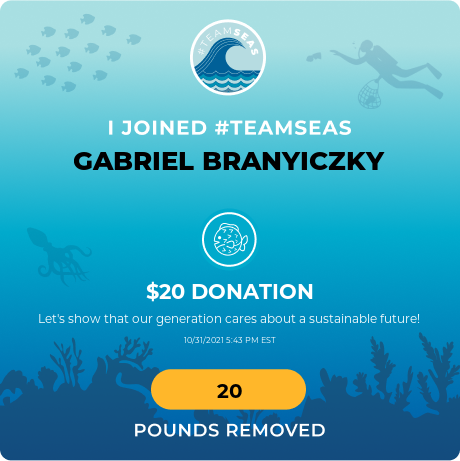 Attila Gabriel B. tweet media