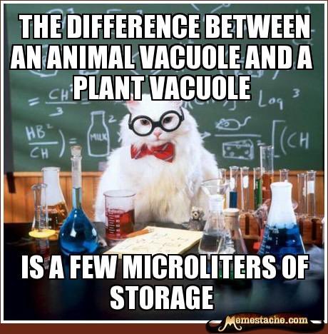thecelldepot_'s tweet photo. #votecentralvacuole https://t.co/OPsPNii6vS