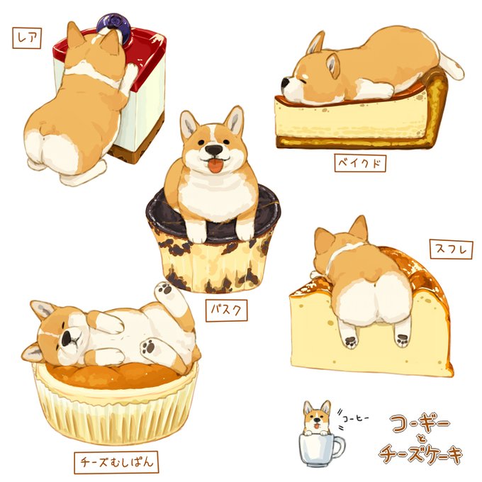 「柴犬 舌出し」のTwitter画像/イラスト(人気順)