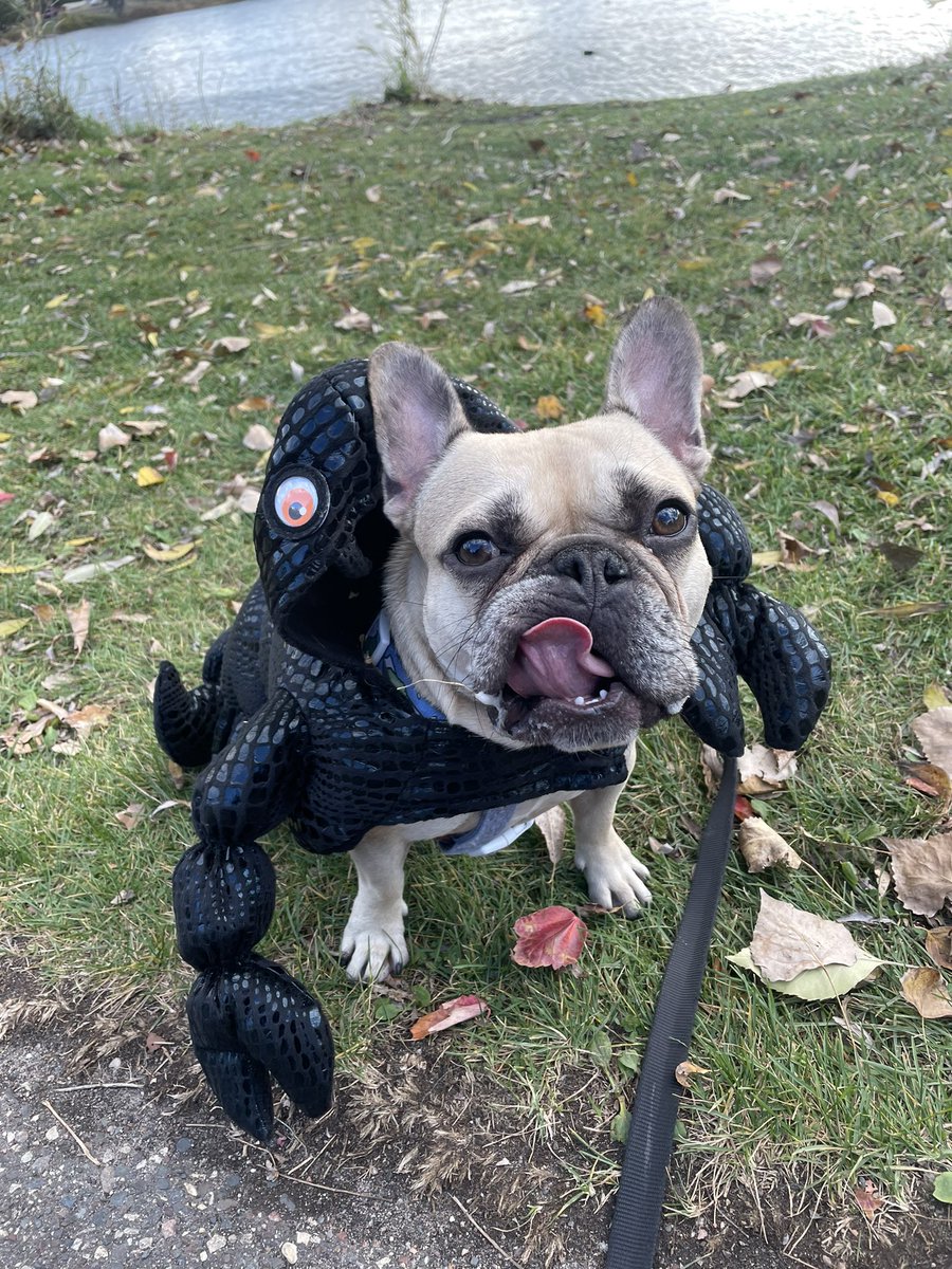 Joey Mueller tweet media